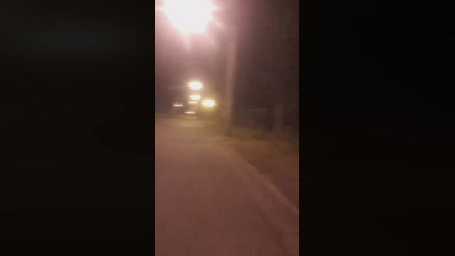 Bichitodeluz20  19-08-2022